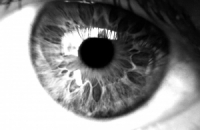 Avatar fr mi6htymik3